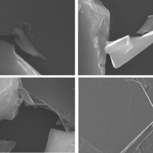 Monolayer Black Phosphorus Solution
