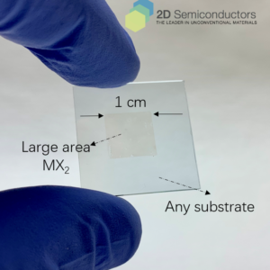 Transferred CVD grown monolayers