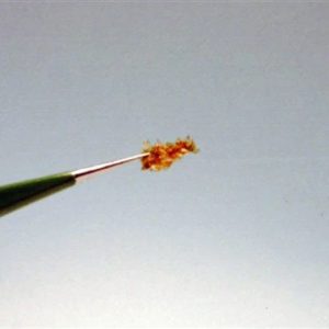 Nitrogen Doped Graphene